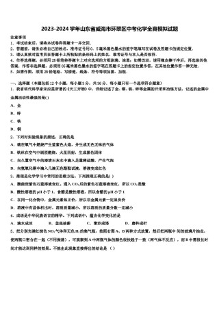 2023-2024学年山东省威海市环翠区中考化学全真模拟试题含解析.doc