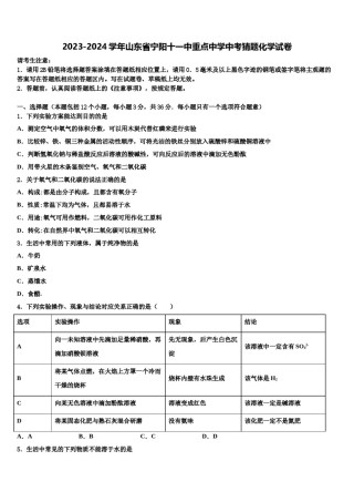 2023-2024学年山东省宁阳十一中重点中学中考猜题化学试卷含解析.doc