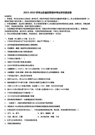 2023-2024学年山东省巨野县中考化学仿真试卷含解析.doc