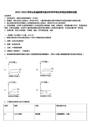 2023-2024学年山东省新泰市重点中学中考化学适应性模拟试题含解析.doc