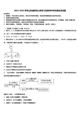 2023-2024学年山东省枣庄山亭区七校联考中考五模化学试题含解析.doc