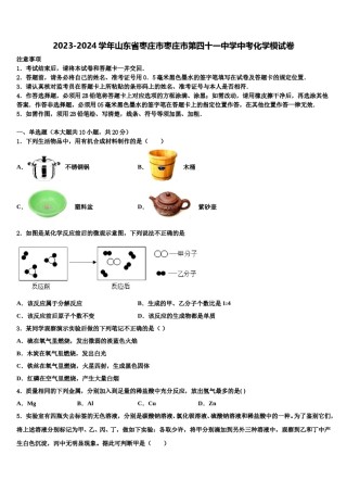 2023-2024学年山东省枣庄市枣庄市第四十一中学中考化学模试卷含解析.doc