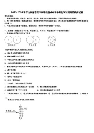 2023-2024学年山东省泰安市东平县重点中学中考化学对点突破模拟试卷含解析.doc