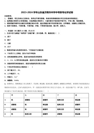 2023-2024学年山东省济南市中学中考联考化学试卷含解析.doc