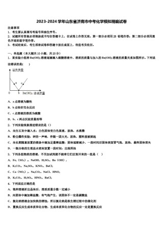 2023-2024学年山东省济南市中考化学模拟精编试卷含解析.doc