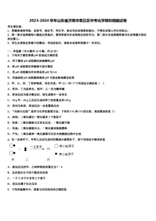 2023-2024学年山东省济南市章丘区中考化学模拟精编试卷含解析.doc
