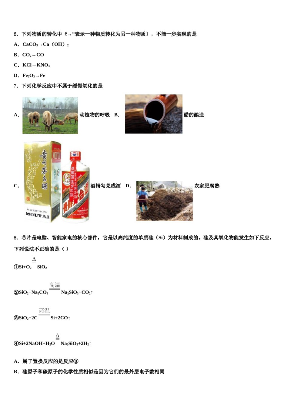 2023-2024学年山东省济宁市梁山县中考化学适应性模拟试题含解析.doc_第2页