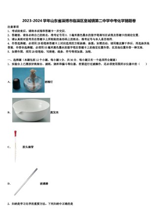 2023-2024学年山东省淄博市临淄区皇城镇第二中学中考化学猜题卷含解析.doc