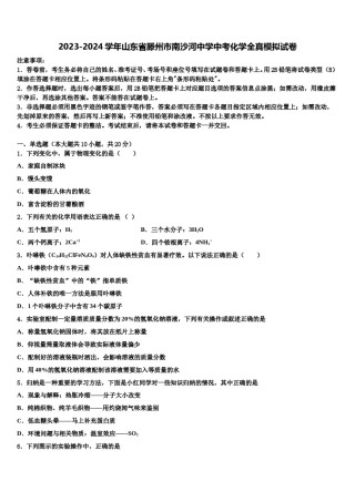 2023-2024学年山东省滕州市南沙河中学中考化学全真模拟试卷含解析.doc
