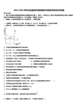 2023-2024学年山东省滨州市阳信县中考适应性考试化学试题含解析.doc