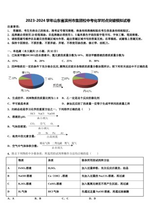 2023-2024学年山东省滨州市集团校中考化学对点突破模拟试卷含解析.doc