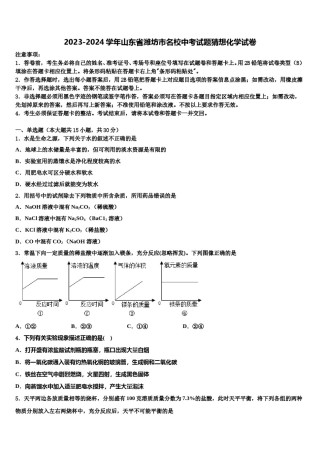 2023-2024学年山东省潍坊市名校中考试题猜想化学试卷含解析.doc