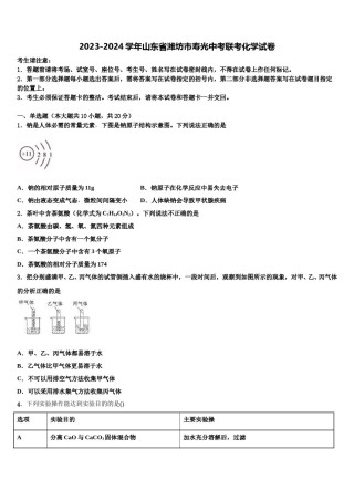 2023-2024学年山东省潍坊市寿光中考联考化学试卷含解析.doc