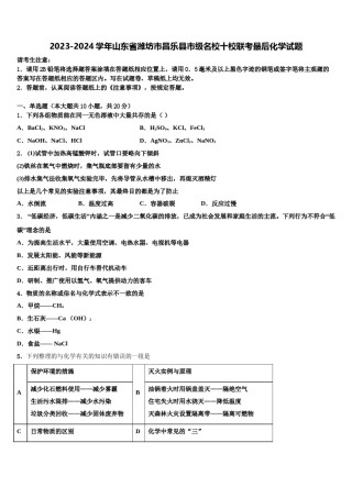 2023-2024学年山东省潍坊市昌乐县市级名校十校联考最后化学试题含解析.doc