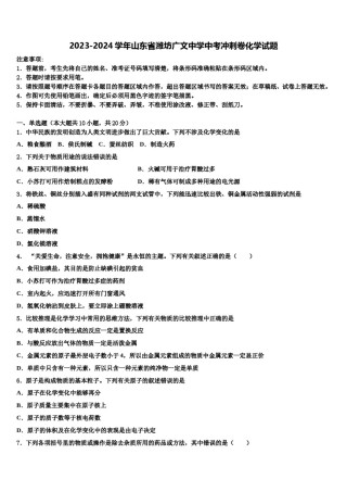 2023-2024学年山东省潍坊广文中学中考冲刺卷化学试题含解析.doc