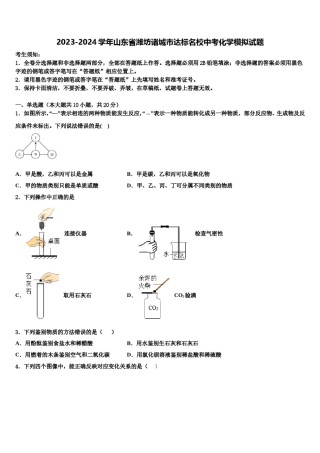 2023-2024学年山东省潍坊诸城市达标名校中考化学模拟试题含解析.doc