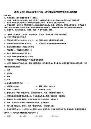 2023-2024学年山东省牡丹区王浩屯镇初级中学中考二模化学试题含解析.doc