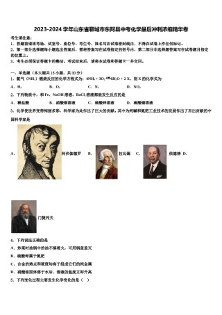 2023-2024学年山东省聊城市东阿县中考化学最后冲刺浓缩精华卷含解析.doc