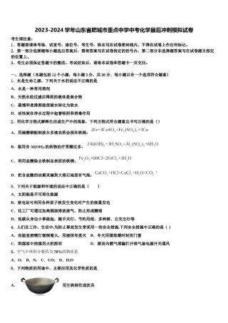 2023-2024学年山东省肥城市重点中学中考化学最后冲刺模拟试卷含解析.doc