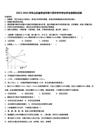 2023-2024学年山东省荣成市第十四中学中考化学全真模拟试卷含解析.doc