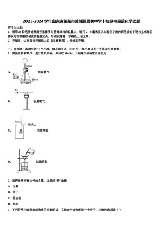 2023-2024学年山东省莱芜市莱城区腰关中学十校联考最后化学试题含解析.doc