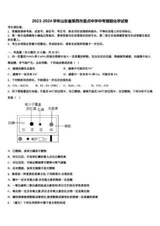 2023-2024学年山东省莱西市重点中学中考猜题化学试卷含解析.doc