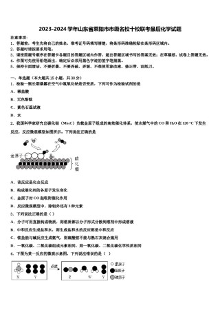 2023-2024学年山东省莱阳市市级名校十校联考最后化学试题含解析.doc