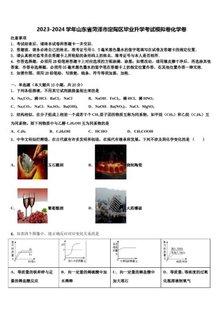 2023-2024学年山东省菏泽市定陶区毕业升学考试模拟卷化学卷含解析.doc