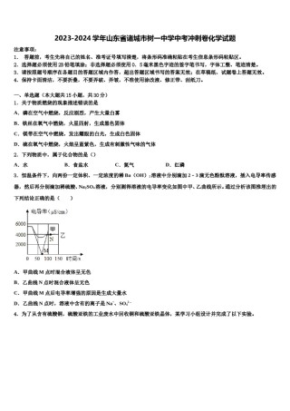2023-2024学年山东省诸城市树一中学中考冲刺卷化学试题含解析.doc