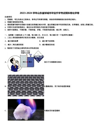 2023-2024学年山东省邹城市毕业升学考试模拟卷化学卷含解析.doc