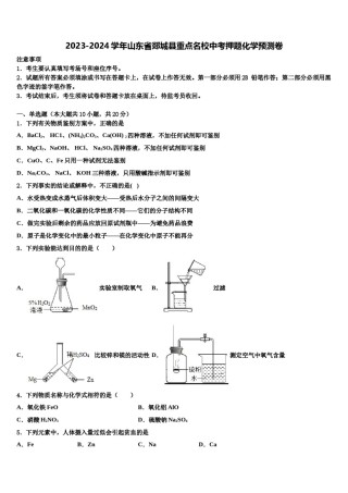 2023-2024学年山东省郯城县重点名校中考押题化学预测卷含解析.doc