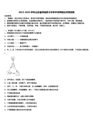 2023-2024学年山东省郯城育才中学中考押题化学预测卷含解析.doc