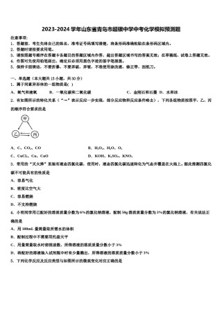 2023-2024学年山东省青岛市超银中学中考化学模拟预测题含解析.doc