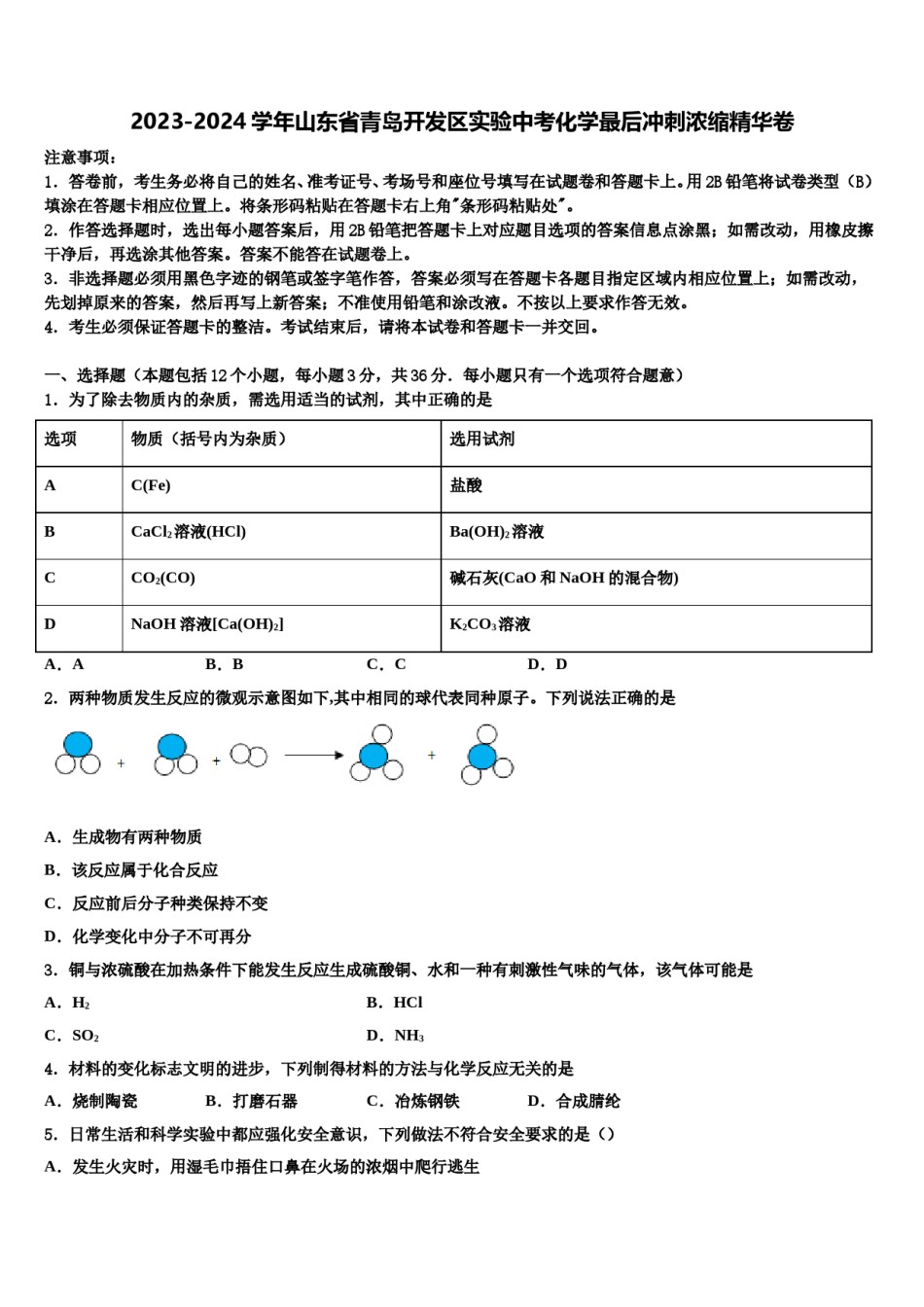 2023-2024学年山东省青岛开发区实验中考化学最后冲刺浓缩精华卷含解析.doc_第1页
