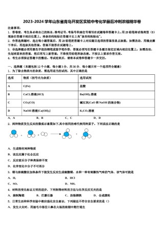 2023-2024学年山东省青岛开发区实验中考化学最后冲刺浓缩精华卷含解析.doc