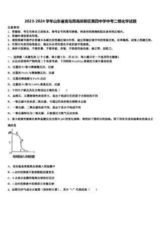 2023-2024学年山东省青岛西海岸新区第四中学中考二模化学试题含解析.doc