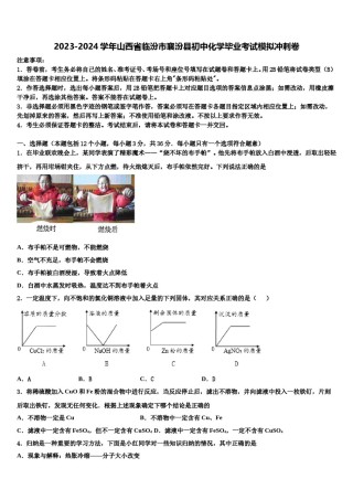 2023-2024学年山西省临汾市襄汾县初中化学毕业考试模拟冲刺卷含解析.doc