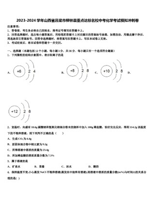 2023-2024学年山西省吕梁市柳林县重点达标名校中考化学考试模拟冲刺卷含解析.doc