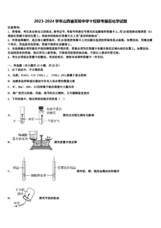 2023-2024学年山西省实验中学十校联考最后化学试题含解析.doc