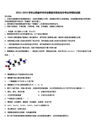 2023-2024学年山西省忻州市定襄县市级名校中考化学模拟试题含解析.doc