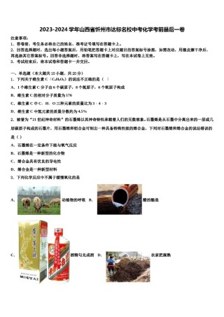 2023-2024学年山西省忻州市达标名校中考化学考前最后一卷含解析.doc