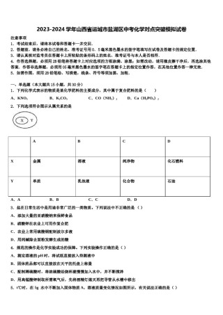 2023-2024学年山西省运城市盐湖区中考化学对点突破模拟试卷含解析.doc