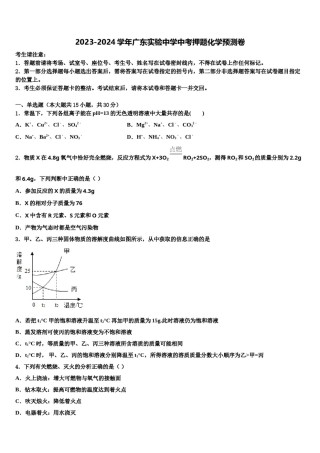2023-2024学年广东实验中学中考押题化学预测卷含解析.doc