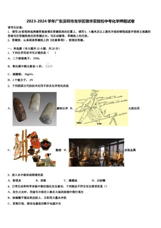 2023-2024学年广东深圳市龙华区锦华实验校中考化学押题试卷含解析.doc
