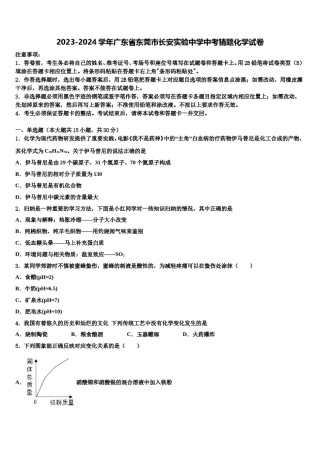 2023-2024学年广东省东莞市长安实验中学中考猜题化学试卷含解析.doc