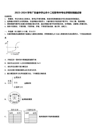 2023-2024学年广东省中学山市十二校联考中考化学模拟精编试卷含解析.doc