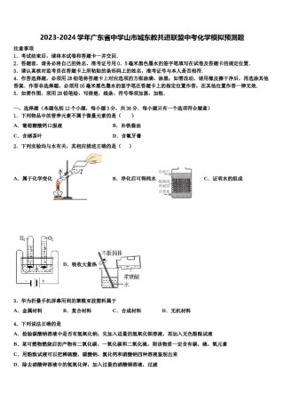 2023-2024学年广东省中学山市城东教共进联盟中考化学模拟预测题含解析.doc