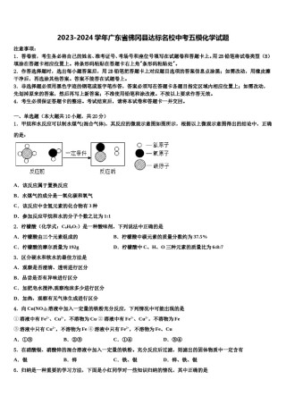 2023-2024学年广东省佛冈县达标名校中考五模化学试题含解析.doc