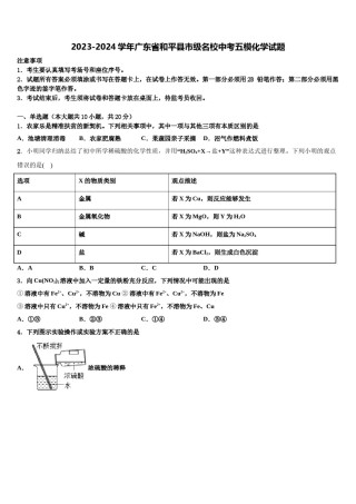 2023-2024学年广东省和平县市级名校中考五模化学试题含解析.doc
