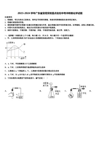 2023-2024学年广东省宝塔实验重点名校中考冲刺卷化学试题含解析.doc